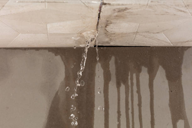 Professional Structural Drying technician working in Bay City, TX